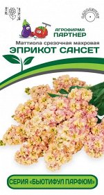 Маттиола срезочная махровая &quot;Бьютифул Парфюм&quot; Эприкот Сансет