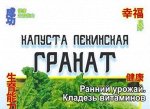 Капуста Пекинская Гранат 0,3 гр (белая пачка)