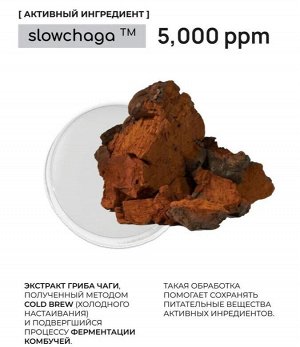 Тонер мягкий с PHA кислотой и экстрактом гриба чага bhab "Slowchaga PHA Toner", 150ml