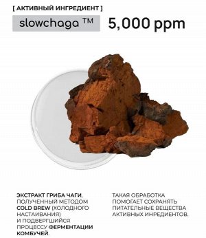 Гидрофильный бальзам с экстрактом гриба чаги bhab "Slowchaga Essential Cleansing Balm", 45ml