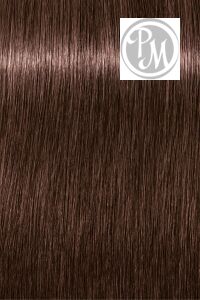 Игора роял тейк овер 5-869 светлый коричневый красный шоколадно-фиолетовый 60мл БС