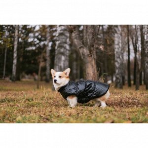 Куртка для собак "Блеск", S (ДС 25, ОГ 37, ОШ 24 см, до 5 кг), чёрная