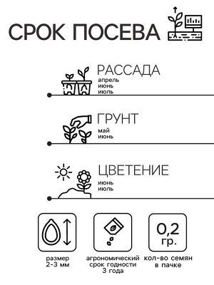 Семена цветов Нивяник "Аляска", крупноцветковый, Мн, 0,2 г