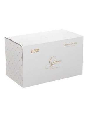 Чайный сервиз WY Grace, 20 предметов, чайник 1000 мл, 6 кружек 250 мл, 6 блюдец d=15,5 см, 6 тарелок пирожковых d=20,5 см, фарфор