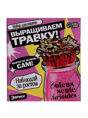 Набор для опытов «Выращиваем травку», своими руками, розовый