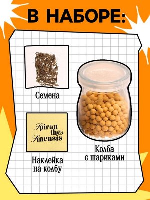 Набор для опытов «Выращиваем травку», своими руками, оранжевый
