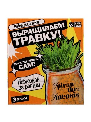 Набор для опытов «Выращиваем травку», своими руками, оранжевый