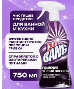 СИЛИТ БЭНГ КУРОК  ЧЕРНАЯ ПЛЕСЕНЬ 750мл.