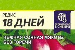 Редис 18 дней 2гр (белая пачка)