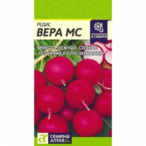 Редис Вера МС 2 гр.