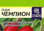 Редис Чемпион 2 гр (белая пачка)