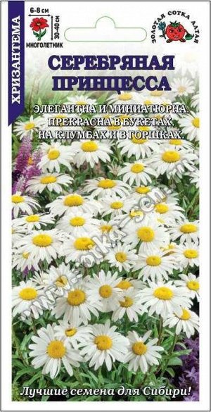 Цветы Хризантема Серебряная Принцесса ЦВ/П (СОТКА) 0,2гр многолетник 30-40см