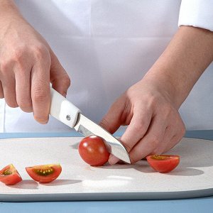 Нож складной, нержавеющая сталь, 1 шт.