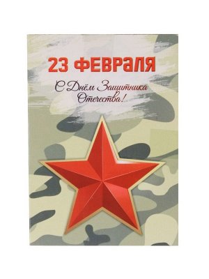 Карта выживания «23 февраля. Звезда», с чехлом