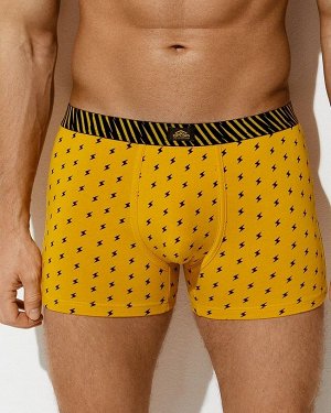 Трусы боксеры муж р.52 (2XL) ocra хлопок молнии 1234-24B Style Omsa 1шт / шт / 167882