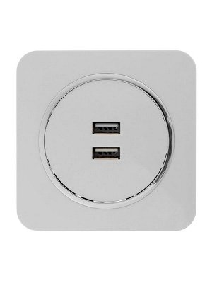 Розетка с 2 USB-A разъёмами, 2.1 А, 5 В, серия Circular, скрытый монтаж, серебристая рамка
