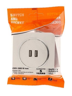 Розетка с 2 USB-A разъёмами, 2.1 А, 5 В, серия Circular, скрытый монтаж, серебристая рамка