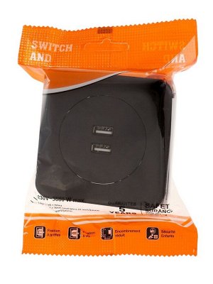 Розетка с 2 USB-A разъёмами, 2.1 А, 5 В, серия Circular, скрытый монтаж, чёрная