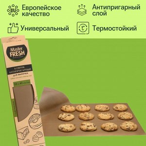 Master Fresh Мастер Фреш Антипригарный многоразовый коврик для выпечки &quot;Eco Line&quot; 33 х 40 см