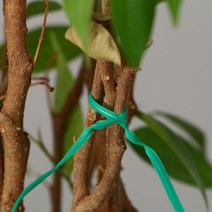 Проволока подвязочная, 20 см, в наборе 100 шт., зелёная, Greengo