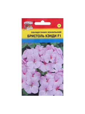Семена цветов Пеларгония "БРИСТОЛЬ КЭНДИ", F1, 0,03 гр.