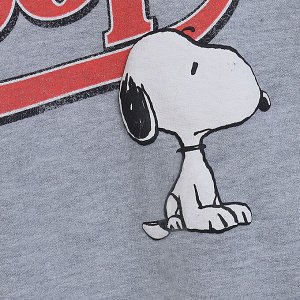 Свитшот трикотажный с длинными рукавами на флисе, с принтом, серый