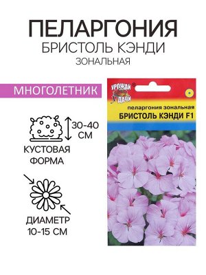 Семена цветов Пеларгония "БРИСТОЛЬ КЭНДИ", F1, 0,03 гр.