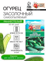 Семена Огурец &quot;Засолочный&quot;, 0,5 г