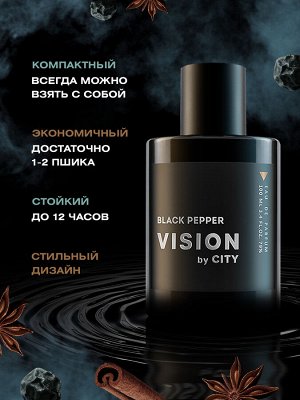 Парфюмерная вода мужская CITY VISION Black Pepper 100мл