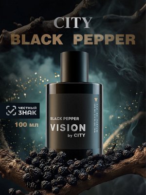 Парфюмерная вода мужская CITY VISION Black Pepper 100мл