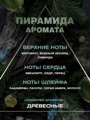 Парфюмерная вода мужская CITY VISION Pheromone 100мл