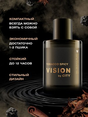 Парфюмерная вода мужская CITY VISION Tobacco Spicy 100мл