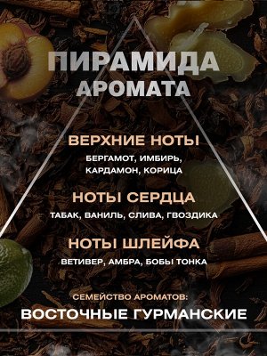 Парфюмерная вода мужская CITY VISION Tobacco Spicy 100мл