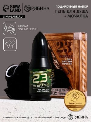 Подарочный набор «23 февраля», гель для душа и мочалка для тела, аромат пряный виски, 200 мл, Чистое счастье