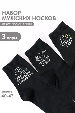 Носки мужские