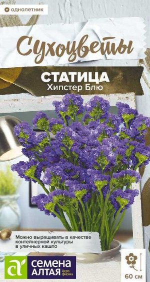 Цветы Статица Хипстер Блю/Сем Алт/цп 5 шт. Сухоцветы НОВИНКА