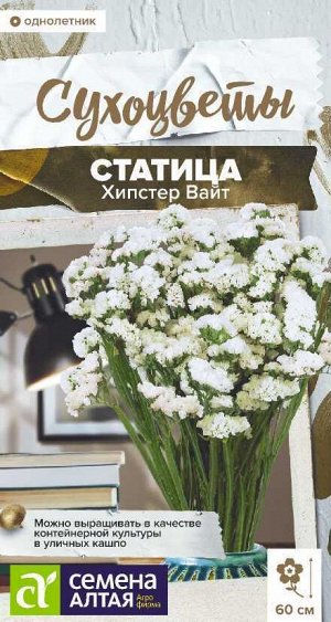 Цветы Статица Хипстер Вайт/Сем Алт/цп 5 шт. Сухоцветы НОВИНКА