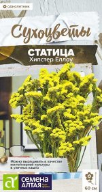 Статица Хипстер Еллоу/Сем Алт/цп 5 шт. Сухоцветы НОВИНКА