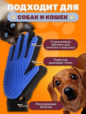 Noname 2-в-1. Перчатка для вычесывания шерсти домашних животных без стресса