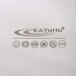 Котёл Катунь «Общепит», 30 л, d=35 см, h=35.5 см, капсульное дно, индукция, нержавеющая сталь