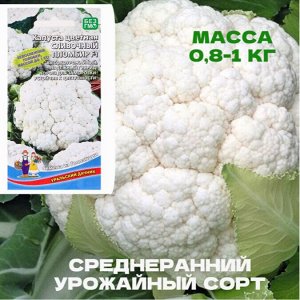 Семена Капуста "Сливочный Пломбир", 0,2 г