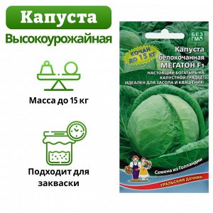 Семена Капусты белокочанной "Мегатон", F1, 10-12 шт.