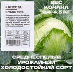 Семена Капуста &quot;Слава 1305&quot;, 0,3 гр