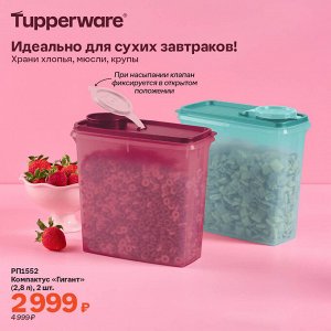 Компактус «Гигант» (2,8 л), 2 шт.