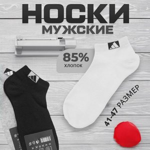 Размерная сетка