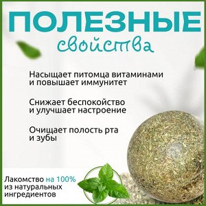 Кошачья мята / шарик с кошачьей мятой на стену