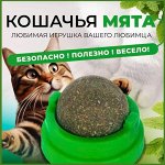Кошачья мята / шарик с кошачьей мятой на стену