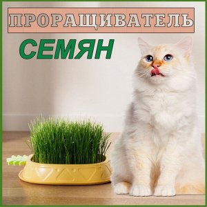 Проращиватель для кошачьей травы, микрозелени
