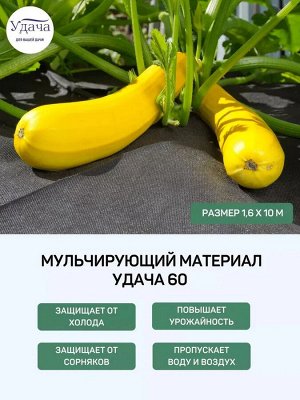 Мульчирующий материал Удача 60 1,6х10м