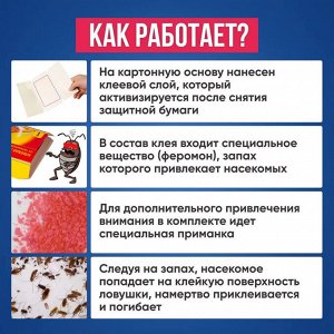 Nadzor Клеевая ловушка от тараканов "Домик"